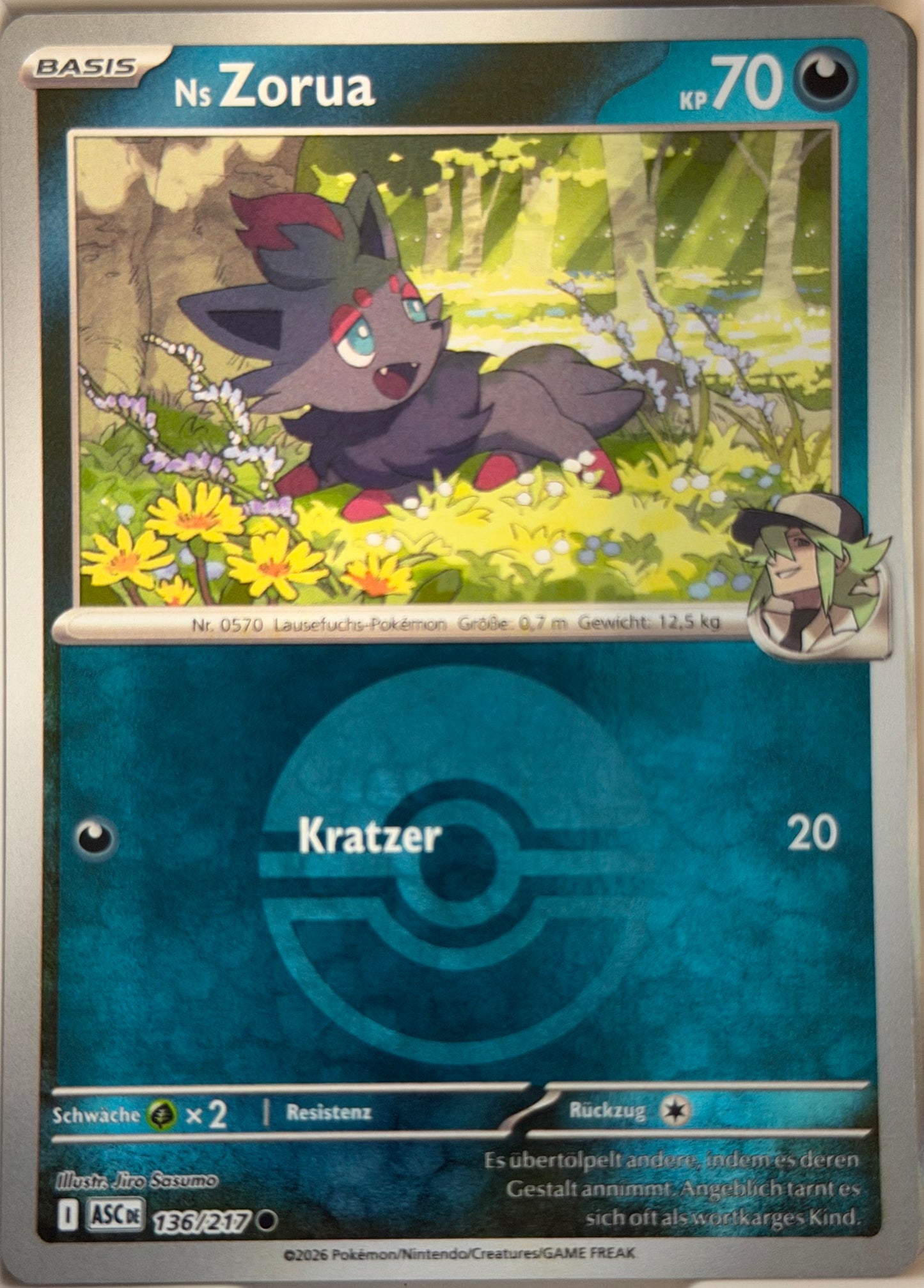 Ns Zorua 136/217 | Common Reverse Holofoil | Erhabene Helden | Deutsch