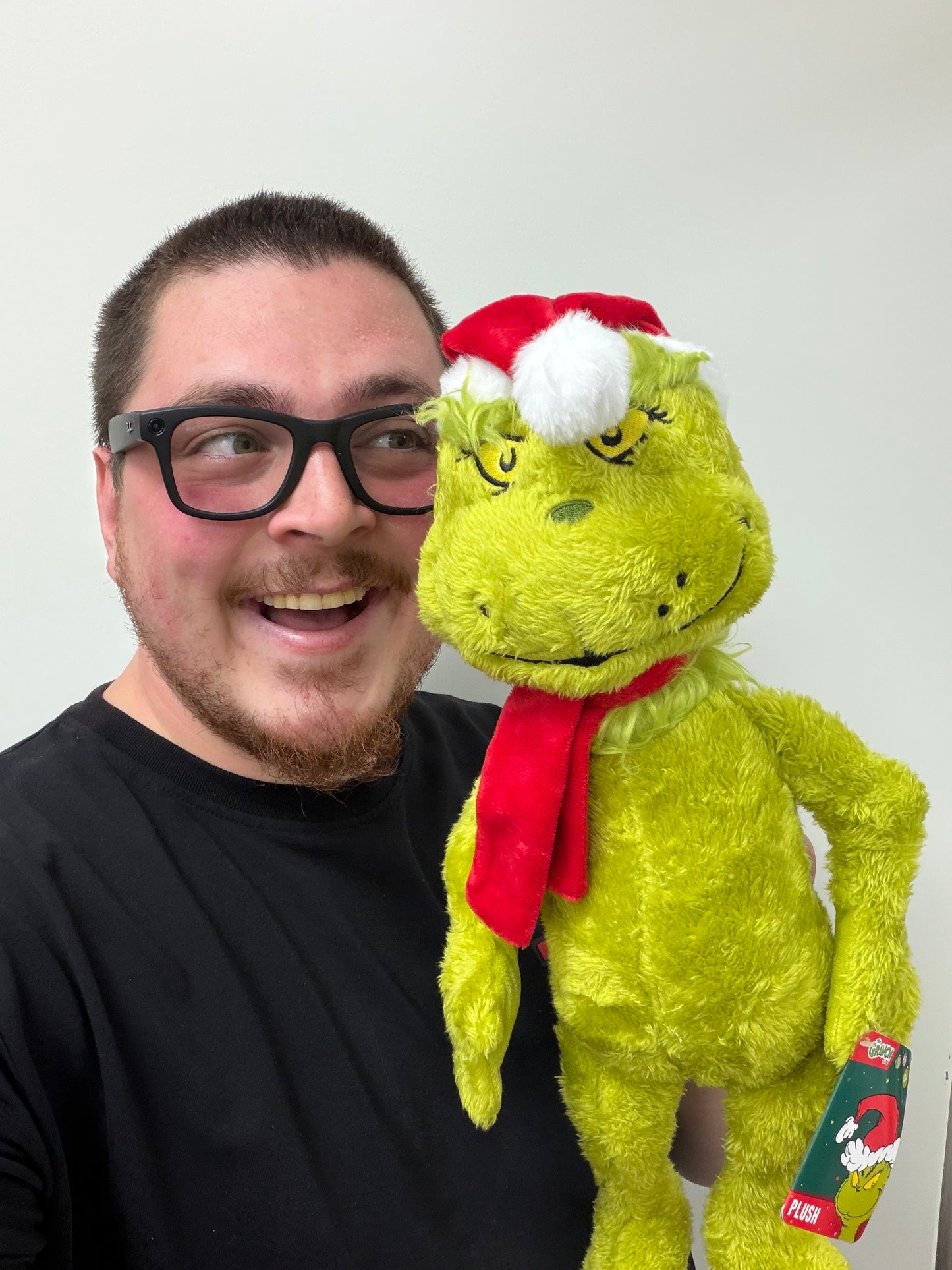 The Grinch Plüschfigur – 40cm (25cm sitzend)