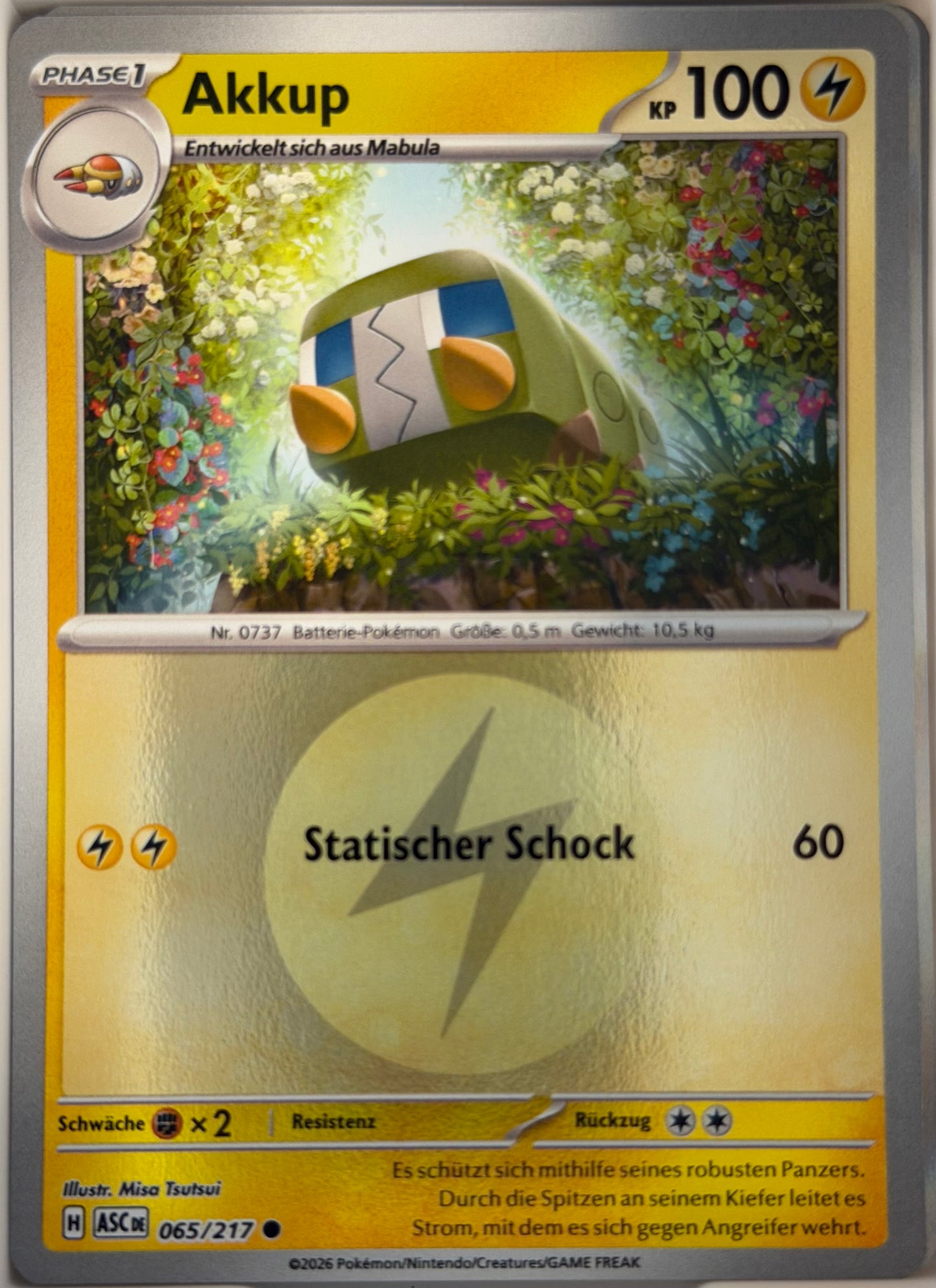 Akkup 065/217 | Common Reverse Holofoil | Erhabene Helden | Deutsch